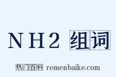 NH2组词是什么意思的图片